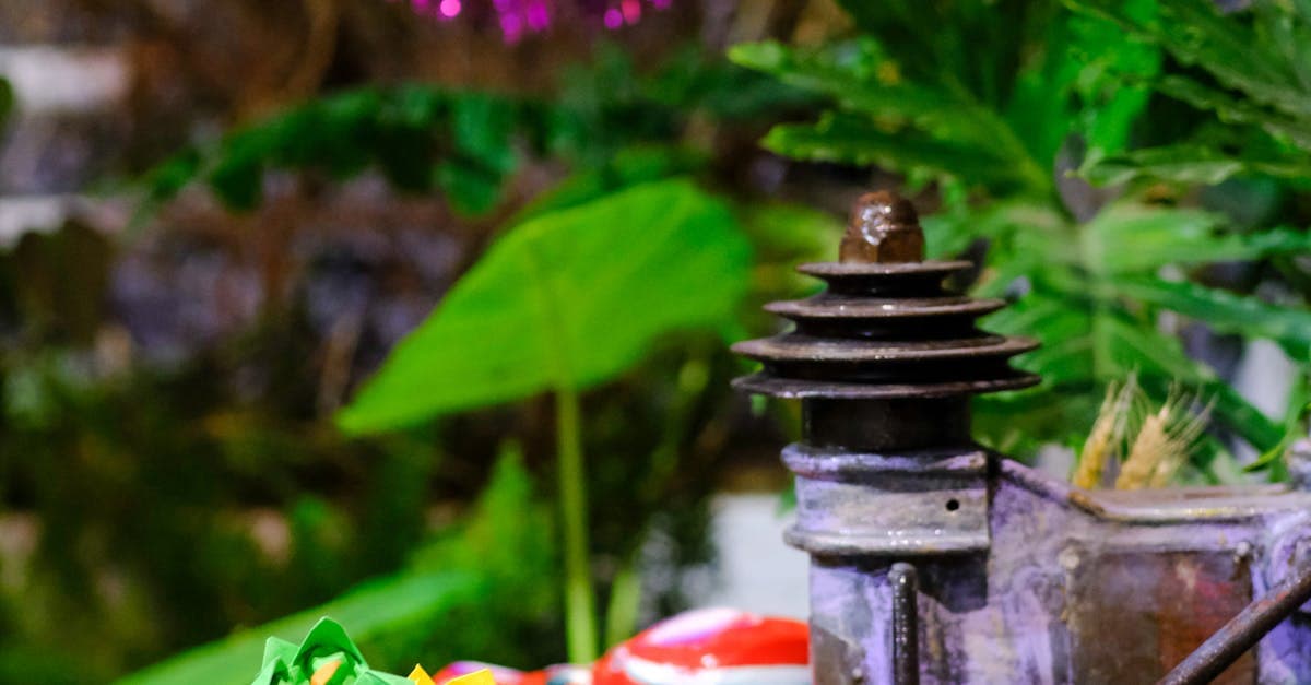 Mid-Autumn Festival: Mooncakes, Lanterns & Gifts for Tết Trung Thu